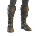 Image of Mariniere Boots in codex search.