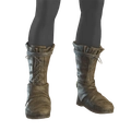 Image of Sealskin Boots in codex search.