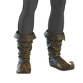 Image of Shadowlord's Shoes in codex search.