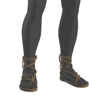 Chaussure de fouetteur icon