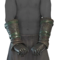 Image of Blood Bindings in codex search.