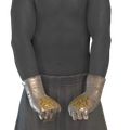 Image of Brazalete Burgués in codex search.