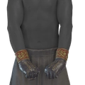 Image of Bracers of Finality in codex search.