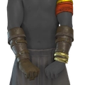 Image of Daku's Gloves in codex search.