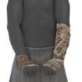 Image of Deckhand Forearms in codex search.