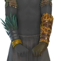 Image of El Doradoan Warrior in codex search.