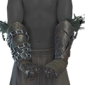 Image of Feral Grips in codex search.