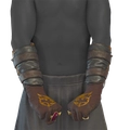 Image of Goldclasp Bracers in codex search.