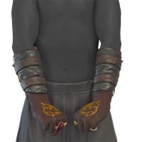 Goldclasp Bracers icon