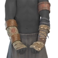 Image of Hardened Wraps in codex search.
