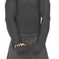 Image of Imara Forearms in codex search.