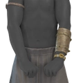 Image of Lone Bracer in codex search.