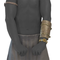 Lone Bracer icon