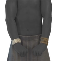 Image of Nomad Forearms in codex search.