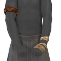 Image of Pencuri Forearms in codex search.