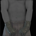 Image of Prideguard in codex search.