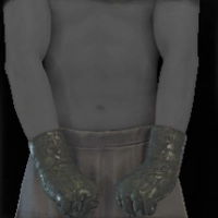 Prideguard icon