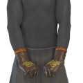 Image of Guantes principescos in codex search.