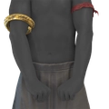 Image of Rempah Raider Armlet in codex search.
