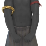 Rempah Raider Armlet icon