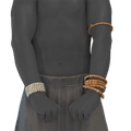 Image of Rigger Forearms in codex search.