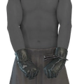 Image of Seaweed's Clasp in codex search.