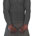 Image of Brazales de centinela in codex search.