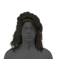 Image of Trenzas de Bertrand in codex search.