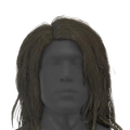 Image of Manganirina's Mane in codex search.