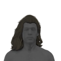 Image of Wolfish Waves in codex search.