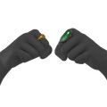 Image of Bajak Laut Ring in codex search.