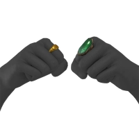 Bajak Laut Ring icon