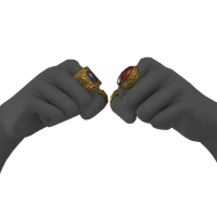 Bokor Bands icon