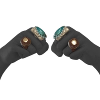 Daimyo's Promise icon
