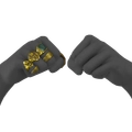 Image of Duality of Splendor in codex search.