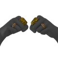 Image of Dynasty Rings in codex search.