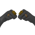 Dynasty Rings icon