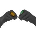 Image of Gaudy Fignerband in codex search.