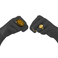 Hessonite Ring icon