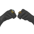 Image of Rempah Raider Ring in codex search.