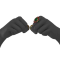 Image of Rings of Regard in codex search.