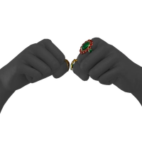 Rings of Regard icon