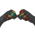 Image of Anillos de ruina in codex search.