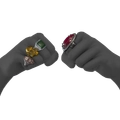 Image of Ruby Charm in codex search.