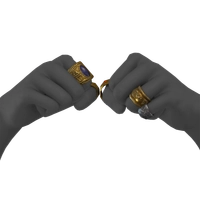 Snakeskin icon