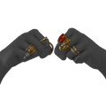 Image of Wondrous Rings in codex search.