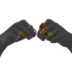 Wondrous Rings icon