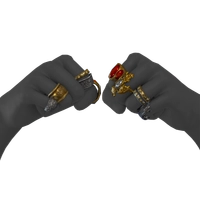 Wondrous Rings icon