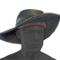 Image of Dappled Leather Hat in codex search.