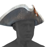 DMC Tricorne icon